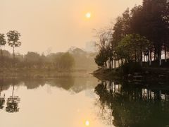 -洋湖国家湿地公园