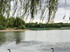 -北京麋鹿生态实验中心