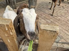 -水上乐园·欢乐世界