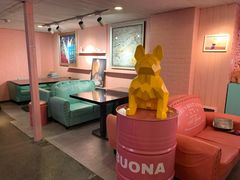 -百好乐宠物友好餐厅(朝外大街店)