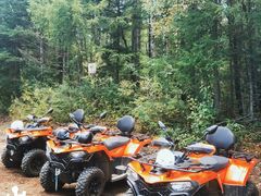 -峡谷浮石林景区