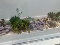-好利来.生日蛋糕(杨家坪店)