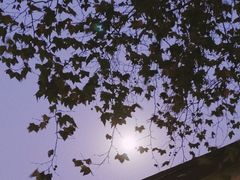 -T80科技文化国际社区-停车场
