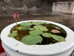 -西安市广仁寺