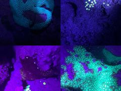 -普吉岛凯悦酒店