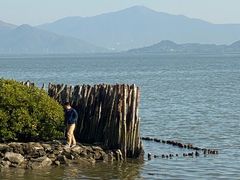 -深圳湾公园(南山区)