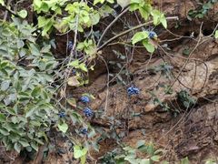 -狼山风景名胜区