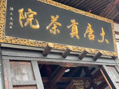 -大唐贡茶院