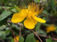 -御轩足道·SPA·养生·保健(瑞金北路店)