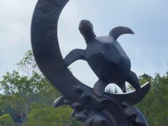 -广东惠东海龟国家级自然保护区