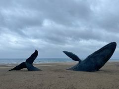 -烟台金沙滩海滨公园
