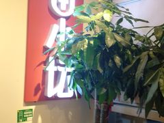 -苗小坛酸汤鱼(酒仙桥店)