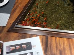 -森味薪火烧•烧鸟居酒屋•日本料理(望京店)