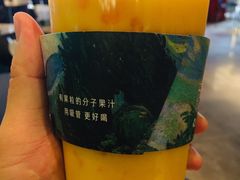 -野萃山·潮汕厚果汁(十亩地店)