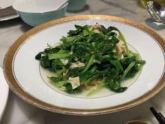 清炒鸡毛菜-蝶园·装修中(BFC外滩金融中心店)