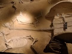 -洛阳周王城天子驾六博物馆