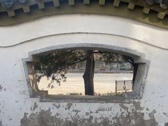 -团结湖公园