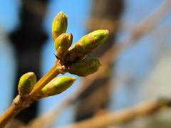 -首都医科大学附属北京友谊医院(西城院区)