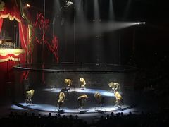 -珠海横琴长隆《卡卡虎奇遇记》