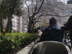 -玛格萝妮比萨屋(四平店)