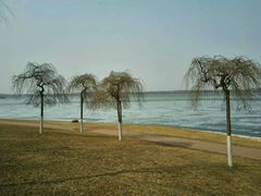 -丁香湖公园