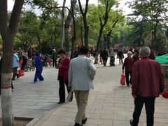 -莲湖公园
