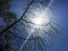 -硗碛藏寨·神木垒景区