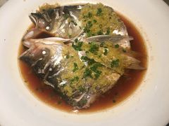鱼头诱惑-绿茶餐厅(广州天河城店)