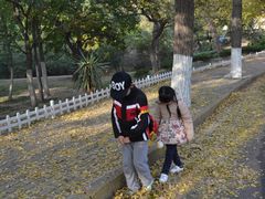 -八大关景区
