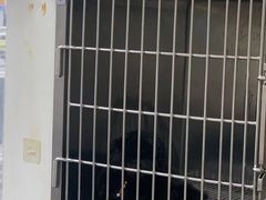 -安安宠医·安宠宠物医院