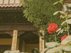 -圆通寺