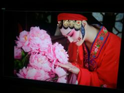 -盘子女人坊古装写真摄影(深圳店)