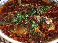 杨记招牌鱼-杨记隆府(时代天街店)