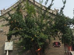 -洛阳周公庙博物馆