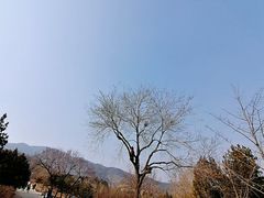 -北京西山国家森林公园