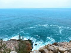 -广东惠东海龟国家级自然保护区