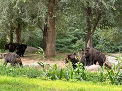 -北京野生动物园