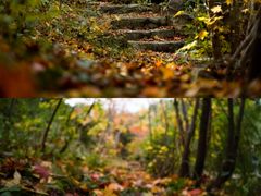 -九如山休闲旅游度假区