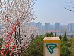 -南翠屏公园