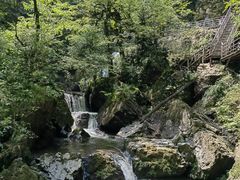 -龙苍沟森林公园