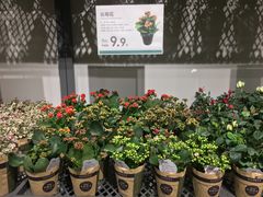 -鹿岛会员店 (龙湖三千集天街店)