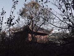 -山沟沟景区