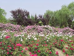 -尚贤河湿地