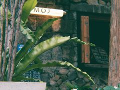 -MOJ coffee(瓯海泽雅水碓坑店)