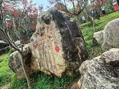 -广州市帽峰山景区