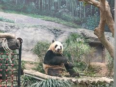 -石排湾郊野公园