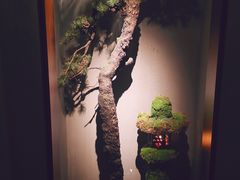 -觀芷隐轩