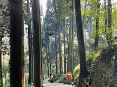-青城山