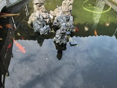 -寻味肇庆·八姑农庄·广府西江菜
