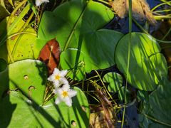 -广州神农草堂中医药博物馆